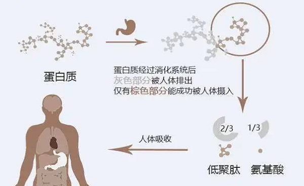 選擇離心濃縮儀時(shí)應(yīng)該注意哪些事項(xiàng)呢？